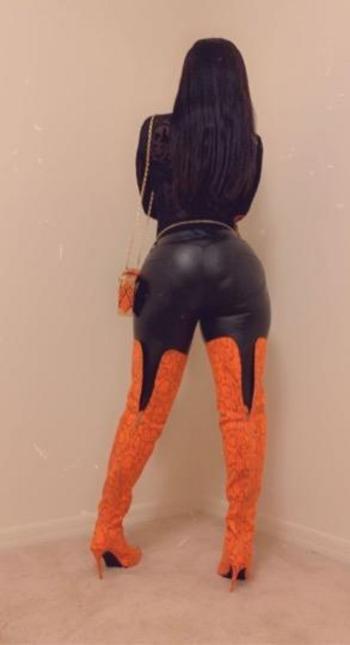 8435073978, female escort, Columbia