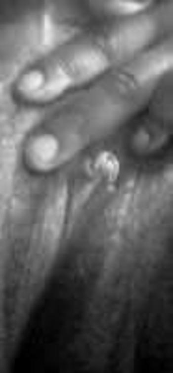 8036096284, female escort, Columbia