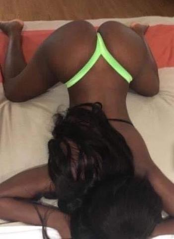 8033736917, female escort, Columbia