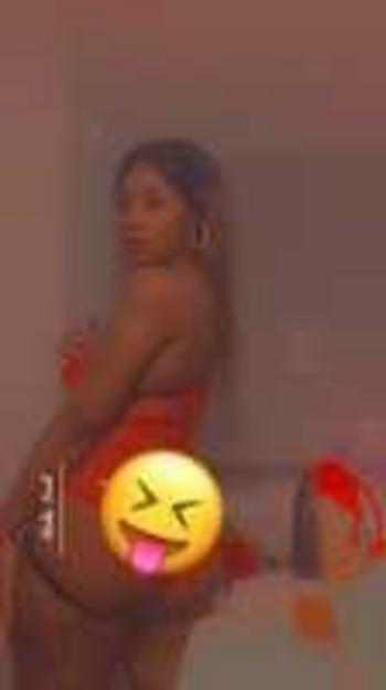 8033393566, female escort, Columbia